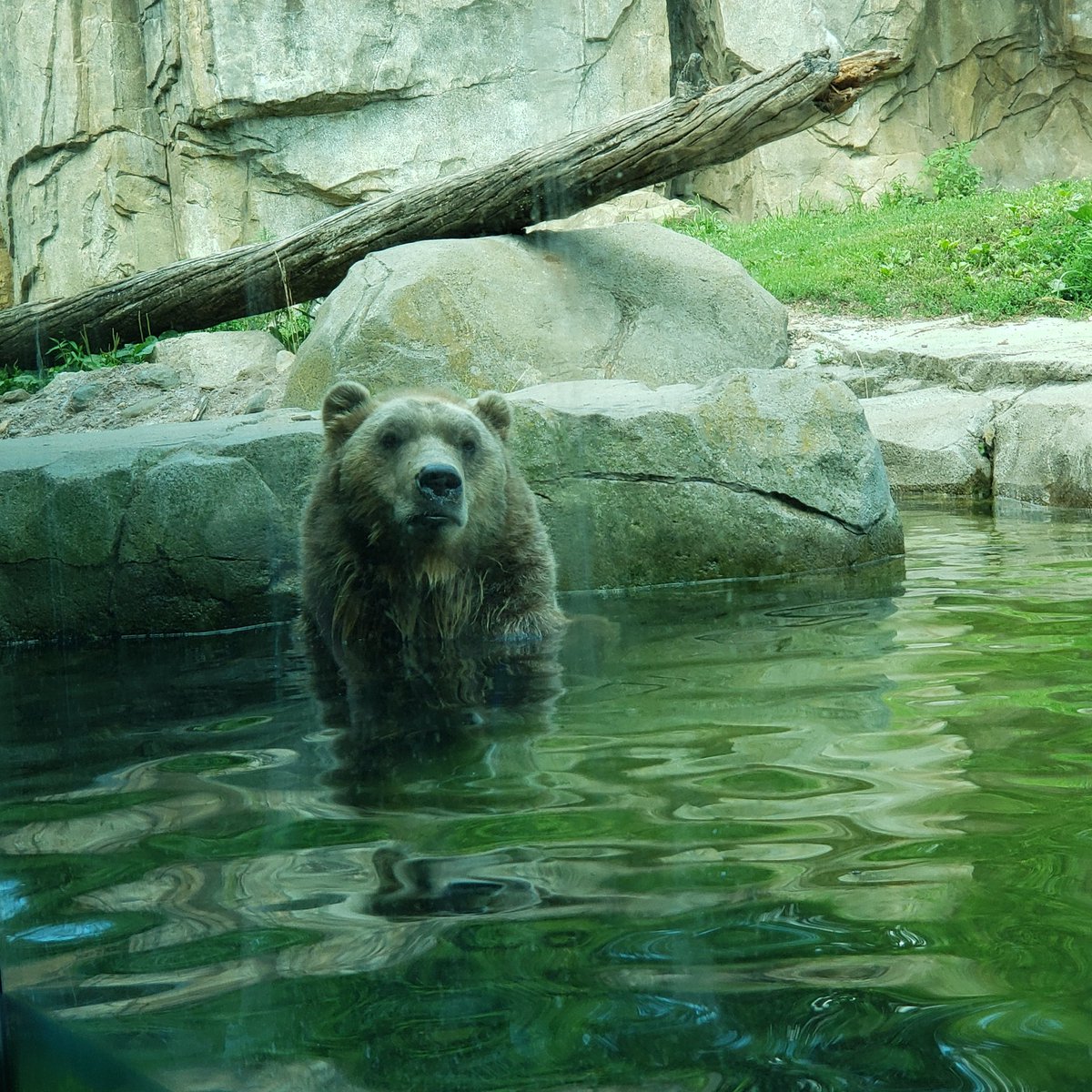 DrakeFowler16's tweet image. 