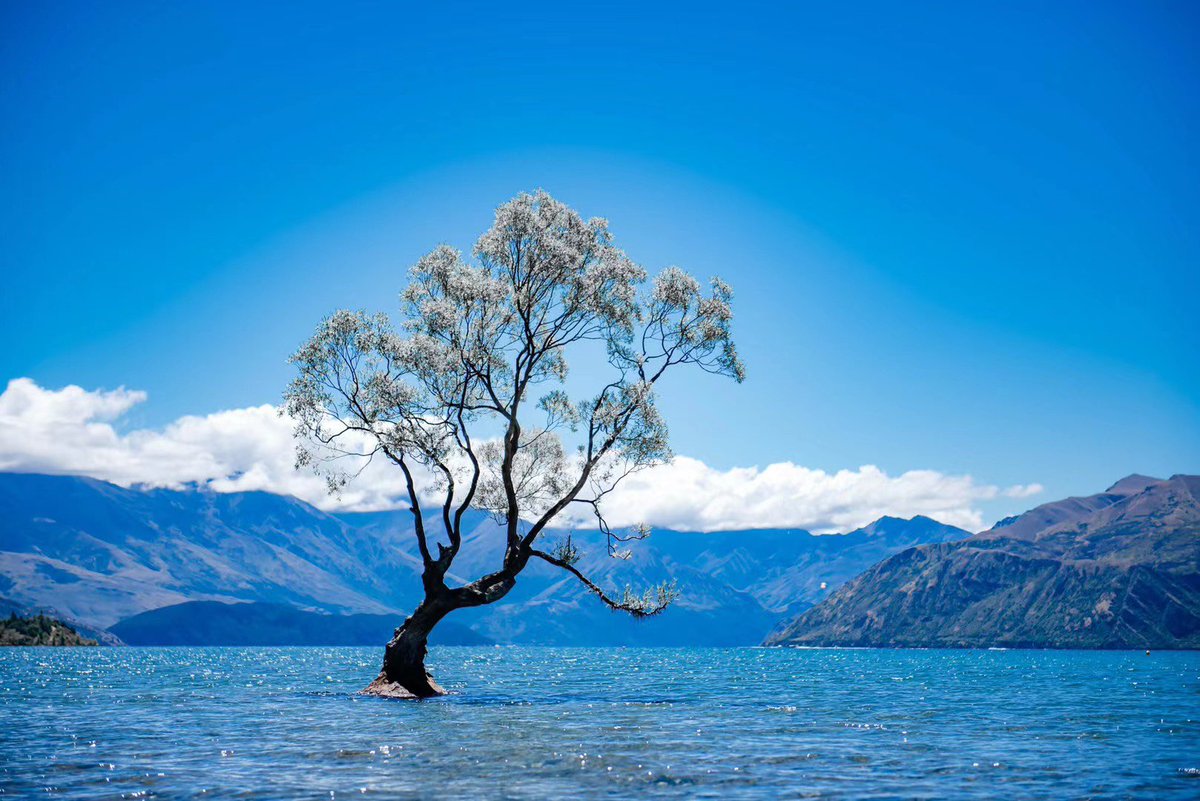 瓦纳卡湖