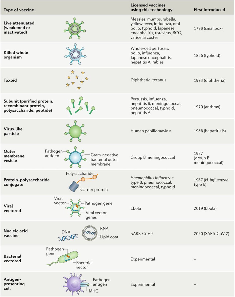 mmw_lmw's tweet photo. A guide to #Vaccinology | from basic principles to new developments | Andrew Pollard @UniofOxford @NatRevImmunol https://t.co/BPhyA4eTRC | #2020_ReCapDec https://t.co/q7eky7jQk9