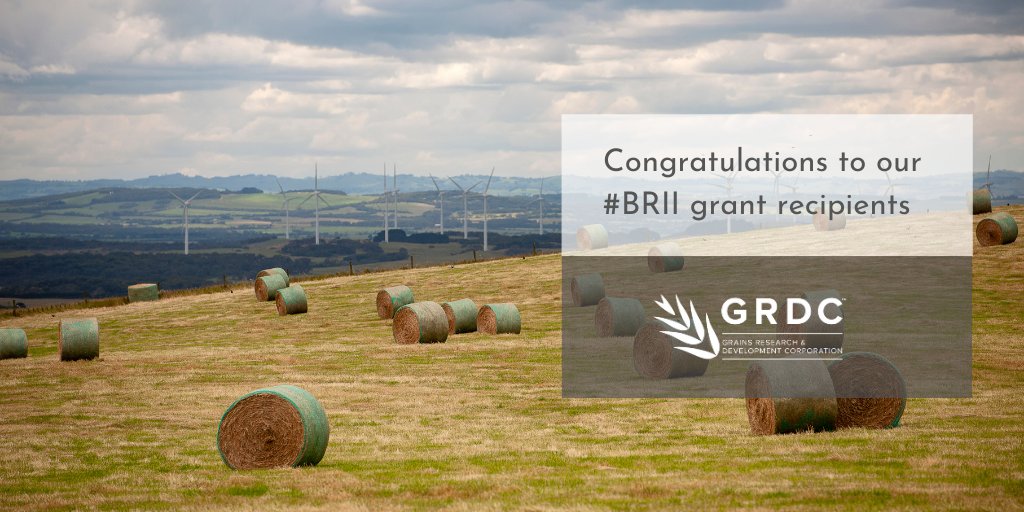 GRDC (@thegrdc) on Twitter photo .<a href="/IndustryGovAu/">Department of Industry, Science and Resources</a> Congratulations to our #BRII grant recipients who will address the challenge: Is it possible to turn farm crops into a renewable hydrogen source? Well done ITP Thermal, <a href="/HydgeneR/">HydGene Renewables</a> , Wildfire Energy & Mollongghip & District (MADE Energy) | bit.ly/3bhKJqK ⬅️ .<a href="/IndustryGovAu/">Department of Industry, Science and Resources</a> Congratulations to our #BRII grant recipients who will address the challenge: Is it possible to turn farm crops into a renewable hydrogen source? Well done ITP Thermal, <a href="/HydgeneR/">HydGene Renewables</a> , Wildfire Energy & Mollongghip & District (MADE Energy) | bit.ly/3bhKJqK ⬅️