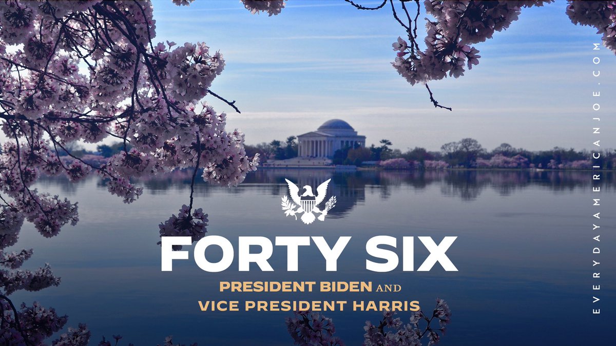 We all have things we’re fighting for. Millions of people are struggling just to survive. But our common ground is simple: We all want better. Let’s do that. And give  @JoeBiden not just a united Blue Congress—but United support from US.One Nation   http://everydayamericanjoe.com&nbsp; 