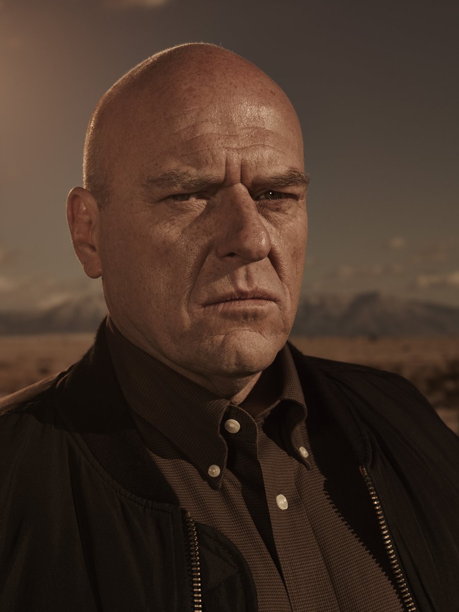 Dean NorrisX-Files: US Marshal Tapia, "F. Emasculata" (S2E22)Breaking Bad: Hank Schrader, Main Character