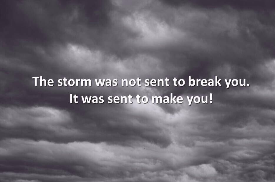 Jim Haran tweet media