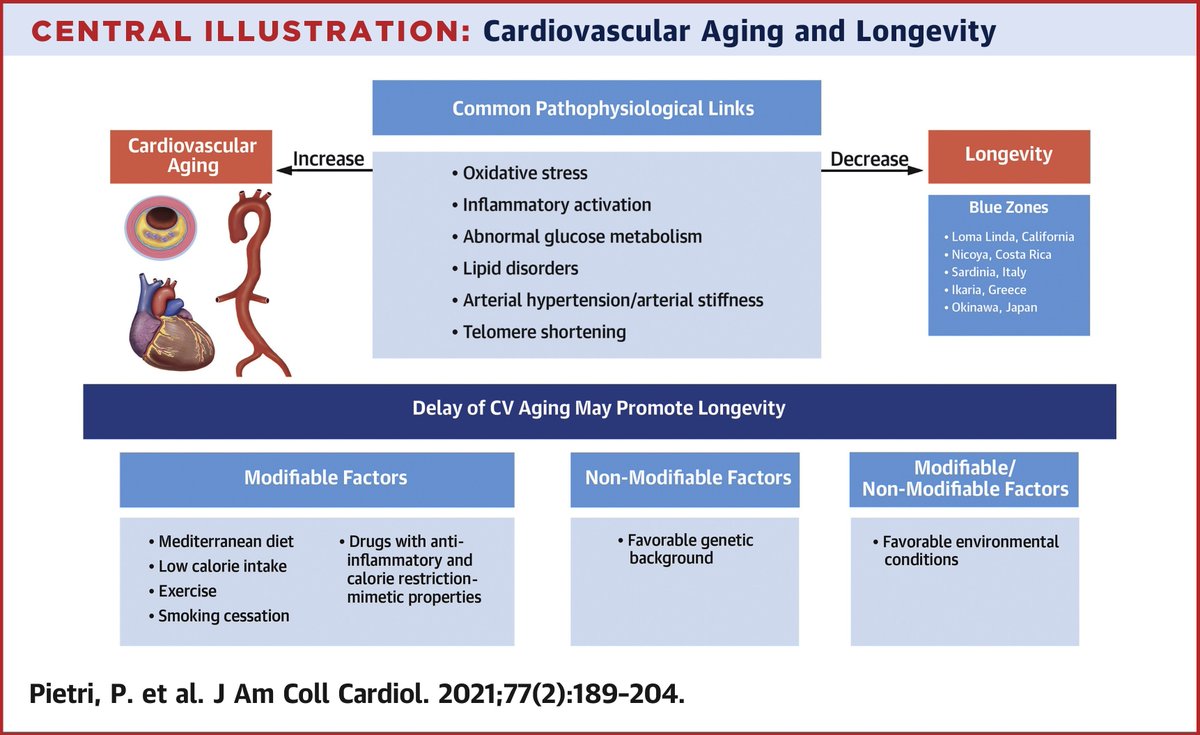 Cardiovascular Aging and Longevity: JACC State-of-the-Art Review

jacc.org/doi/10.1016/j.…