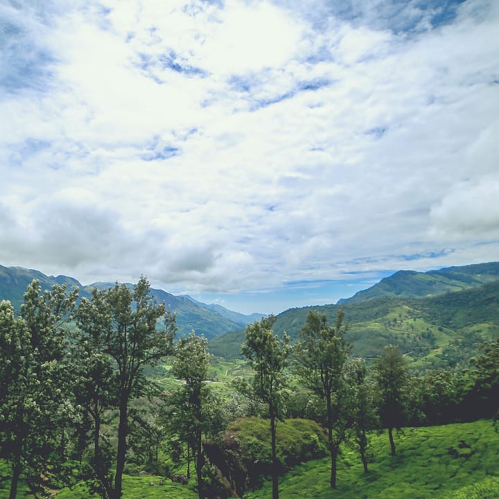 misty_resort's tweet photo. If you truly love nature, you will find beauty everywhere. 
View from beside our Resort.
#munnar #munnarhills #idukki #tourism #keralatourism https://t.co/m1yEVTm5td