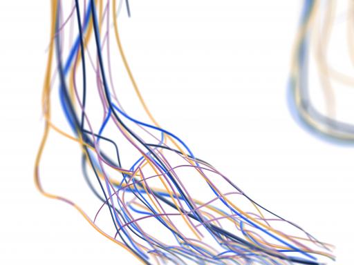 SCAI (@scai) on Twitter photo The SCAI CLTI Webinar Series continues January 28 at 7 pm. This webinar entitled “No Stent Zones” covers wound care and takes attendees through 2 different cases. <a href="/ehrin_armstrong/">Ehrin Armstrong</a> <a href="/BeauHawkinsMD/">Beau Hawkins</a> <a href="/DrDrewKleinPHI/">Drew Klein</a>
Register now: ow.ly/gO0R50D3K9O The SCAI CLTI Webinar Series continues January 28 at 7 pm. This webinar entitled “No Stent Zones” covers wound care and takes attendees through 2 different cases. <a href="/ehrin_armstrong/">Ehrin Armstrong</a> <a href="/BeauHawkinsMD/">Beau Hawkins</a> <a href="/DrDrewKleinPHI/">Drew Klein</a>
Register now: ow.ly/gO0R50D3K9O