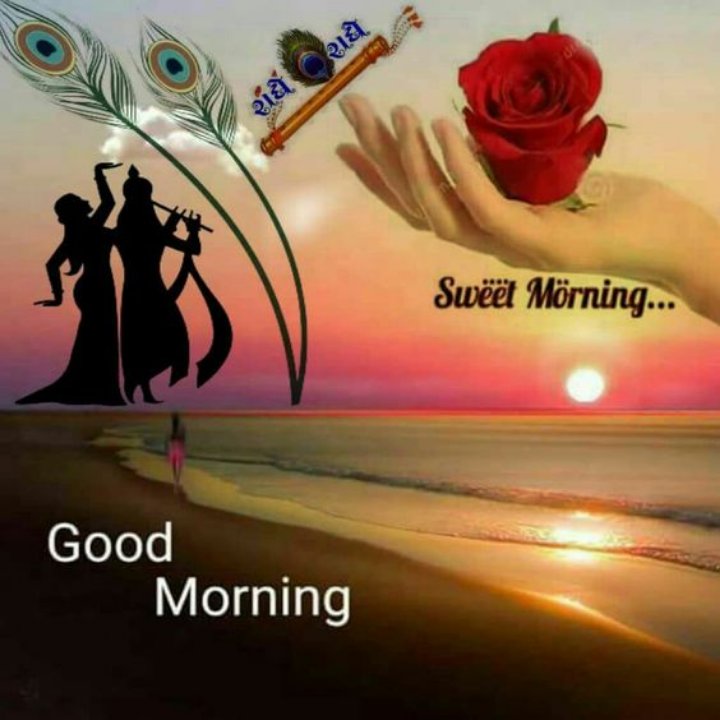 Danny Irish🍀🇺🇲😎😷🇨🇦💙🌿 tweet media