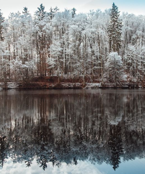 Silberfuchs050's tweet photo. Der #Schulserver steht, K2 auch - und zwar wieder daheim vor der Tür. "Die Lehrer*innen sind nicht in der Schule - zu viel Schnee ❄️❄️❄️, sind nicht durchgekommen ..." Tja, nicht nur in #Laptops investieren - in #Hessen braucht's auch Ski 🏂& Rodel 🎿, damit der Laden läuft 🙈 https://t.co/Maug4Ka0VO