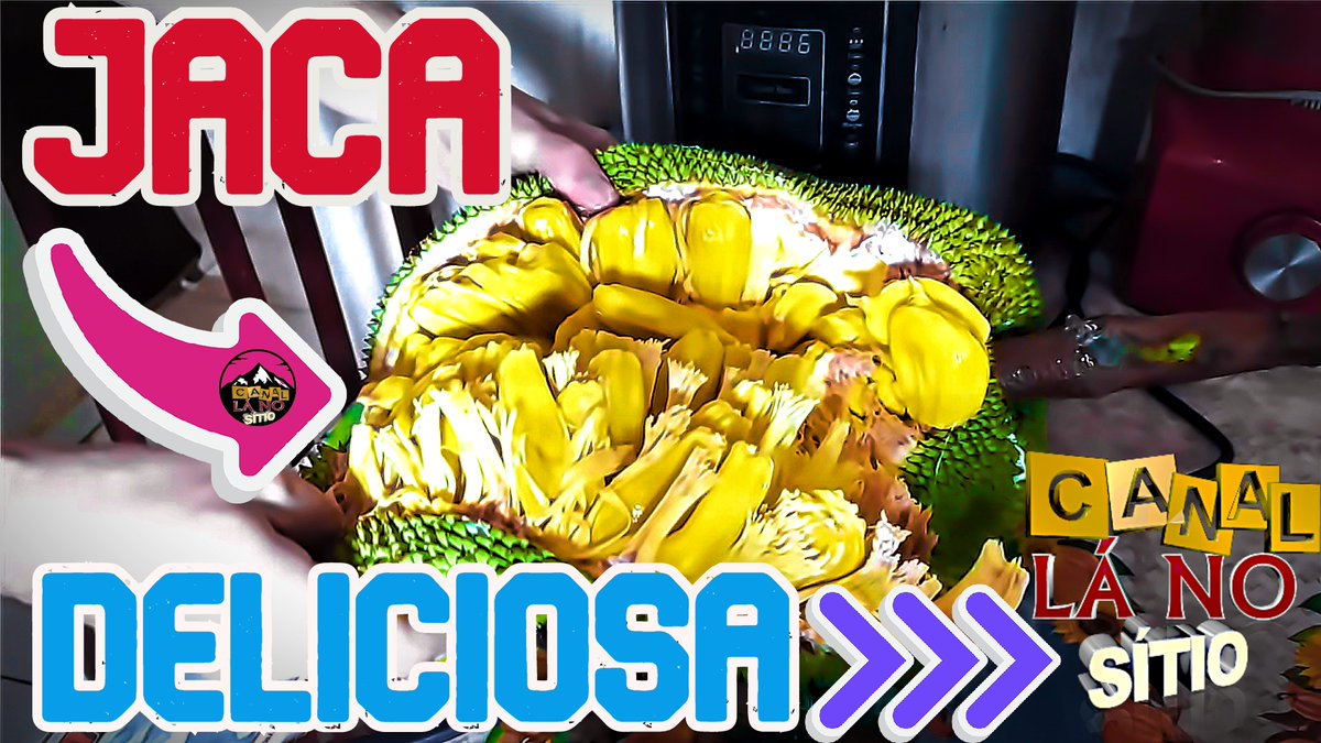 fati42419279's tweet photo. https://t.co/rRte2ziZmT #jacadelicisa #Artocarpusheterophyllus #jaca #fruta #vemprositio #beneficiosdajaca https://t.co/BklZG23Wqz