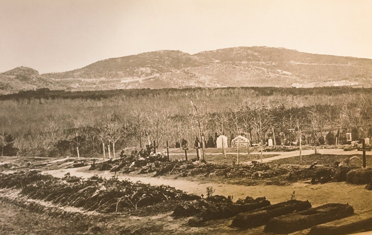 Following the surrender of the garrison on the 7/11 the crew were placed into internment in Japan along with their German Comrades. Pictured is a grave yard of the ship's fallen