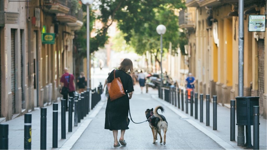 bromptolona's tweet photo. Enamorats de les fotos de l'altra Barcelona que fa Lídia Rebollar (@Liid), la fotògrafa del banc d’imatges de @beteve  https://t.co/htY9JSLM7c https://t.co/9shFo1My3a