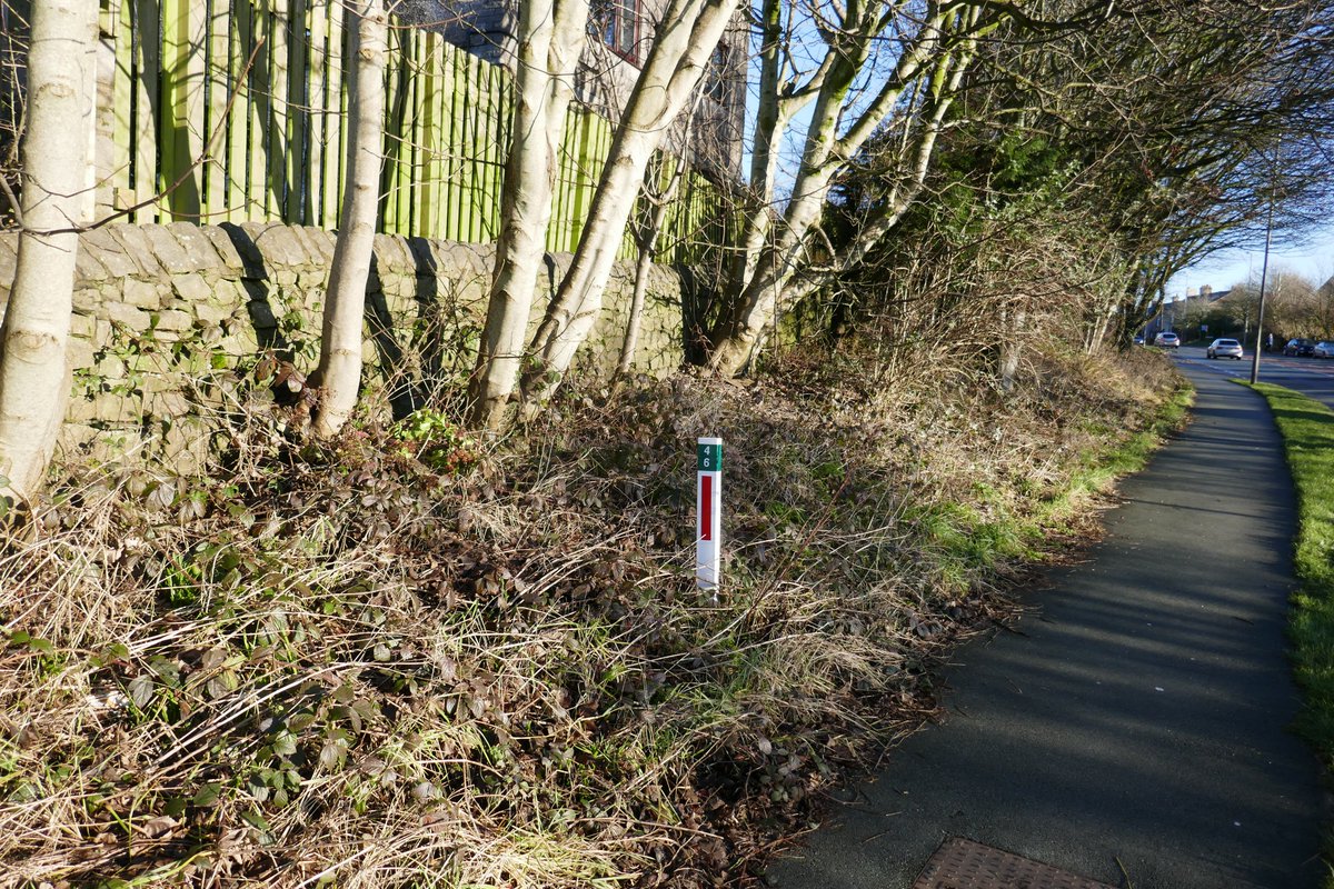 TheLengthsman's tweet photo. Went to look at a job in #Lindal this morning tidying up the embankment on the A590 ~ never been done for years !
Will return with the #Bushcutter 👍 https://t.co/akbuomw0rN