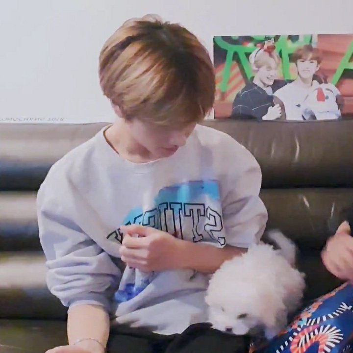 ♡ JS ♡ on Twitter: "jisung and daegal 😭😭… "