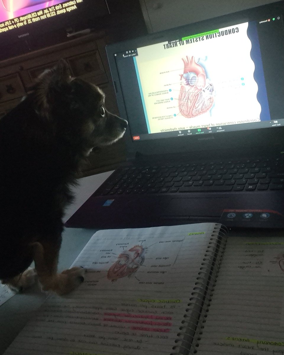 gaby woolhouse (@gabyyywoolhouse) on Twitter photo Someone is loving the class on the heart 😍 <a href="/answ_shu/">LD Nursing & Social Work SHU</a> <a href="/SHUNursingSoc/">The Nursing Society</a> @shu Someone is loving the class on the heart 😍 <a href="/answ_shu/">LD Nursing & Social Work SHU</a> <a href="/SHUNursingSoc/">The Nursing Society</a> @shu