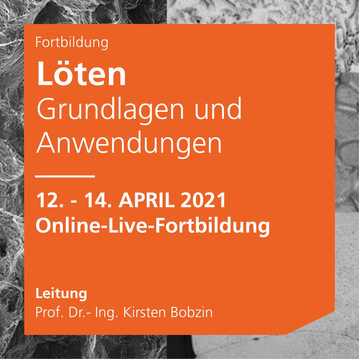 SONDERPREIS | Wenn Sie sich noch bis zum 31.1. für die Fortbildung