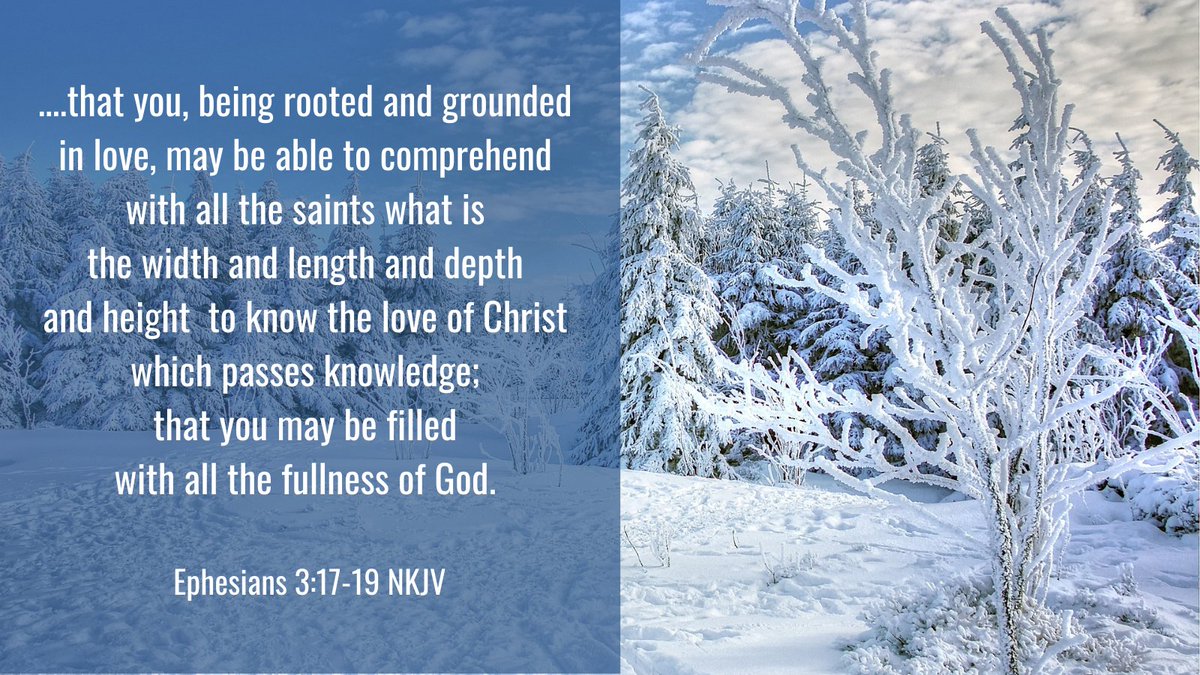 pastortedwilson's tweet photo. Thank you, Lord, for the gift of your unconditional love. Please help us grasp how big your love is for each one of us. https://t.co/0bLxhn2Gee