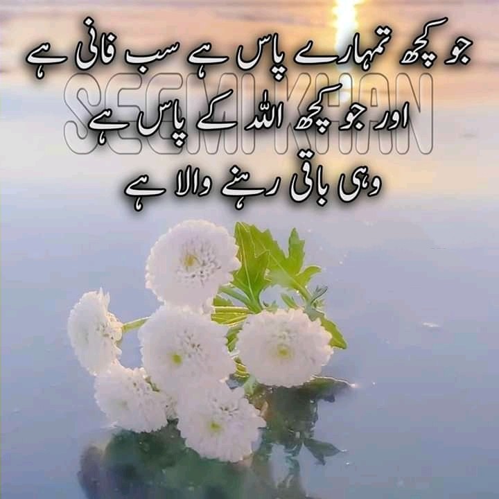 nice pictures of love quotes in urdu