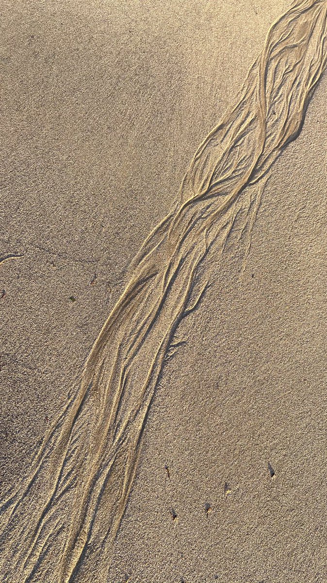 MarkSmales's tweet image. #sandpatterns on the #beach #flamborough