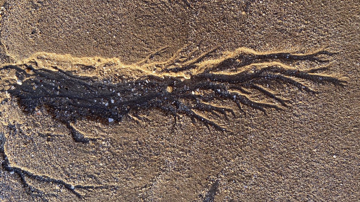 MarkSmales's tweet image. #sandpatterns on the #beach #flamborough