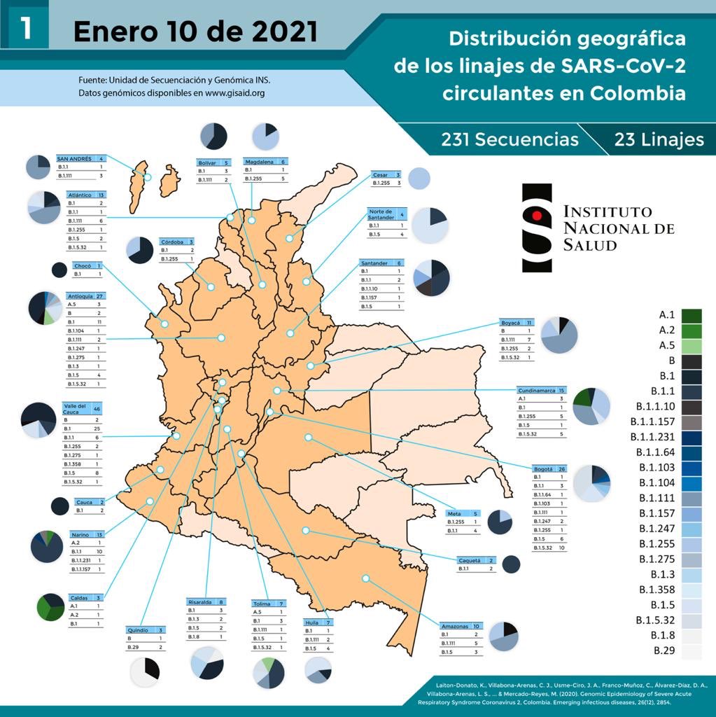 INSColombia's tweet photo. #ÚltimaActualización #INSTeCuenta Distribución genómica de los linajes de SARS-CoV-2 circulantes en Colombia. Corte 10 de enero. https://t.co/2rfjDzXWe3
