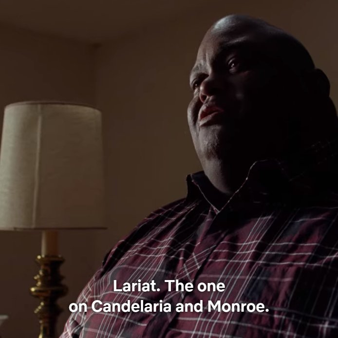 The van rental company, Lariat, used by Patrick Kuby to rent a van for Walter White in Breaking Bad is also used in 4 episodes of The X-Files.