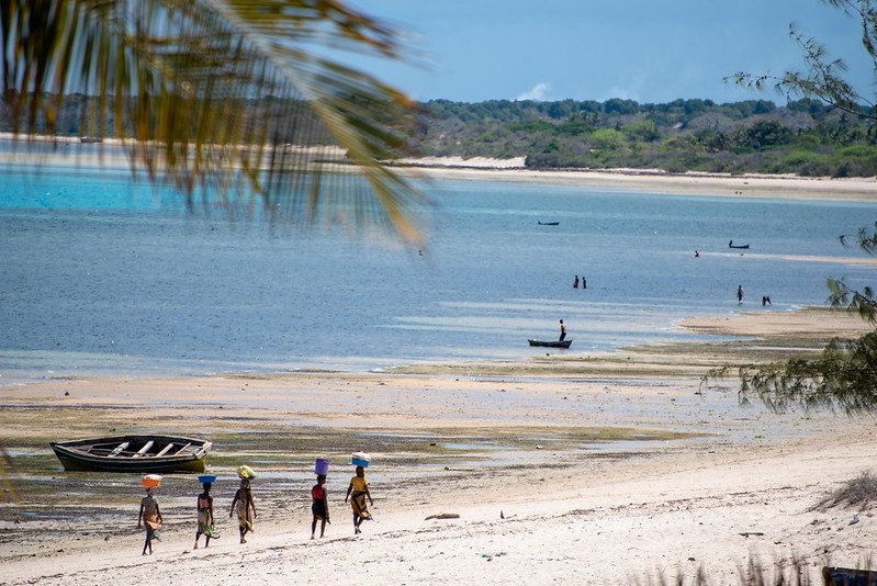 IUCN ESARO tweet media