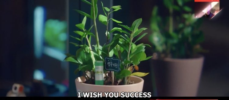 21. MONEY PLANT. Remember when everyone believed JP started watering the plant to symbolize his growing feelings for Dalmi? Yes. But, we’ve been deceived. All this time it was also foreshadowing JPs love for money. That’s why this plant never went back to DS.  #StartUp