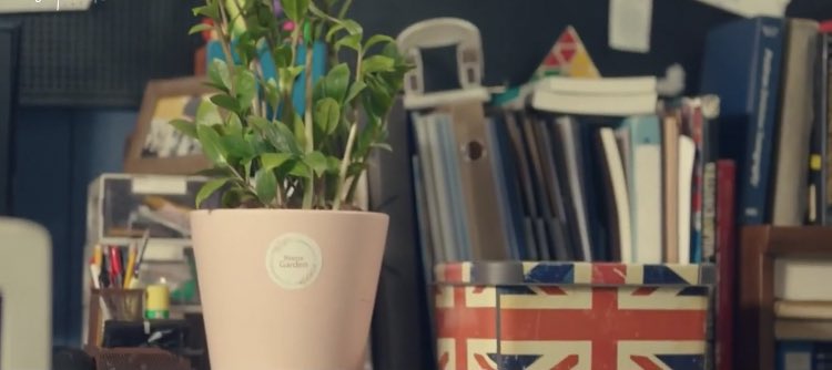 21. MONEY PLANT. Remember when everyone believed JP started watering the plant to symbolize his growing feelings for Dalmi? Yes. But, we’ve been deceived. All this time it was also foreshadowing JPs love for money. That’s why this plant never went back to DS.  #StartUp