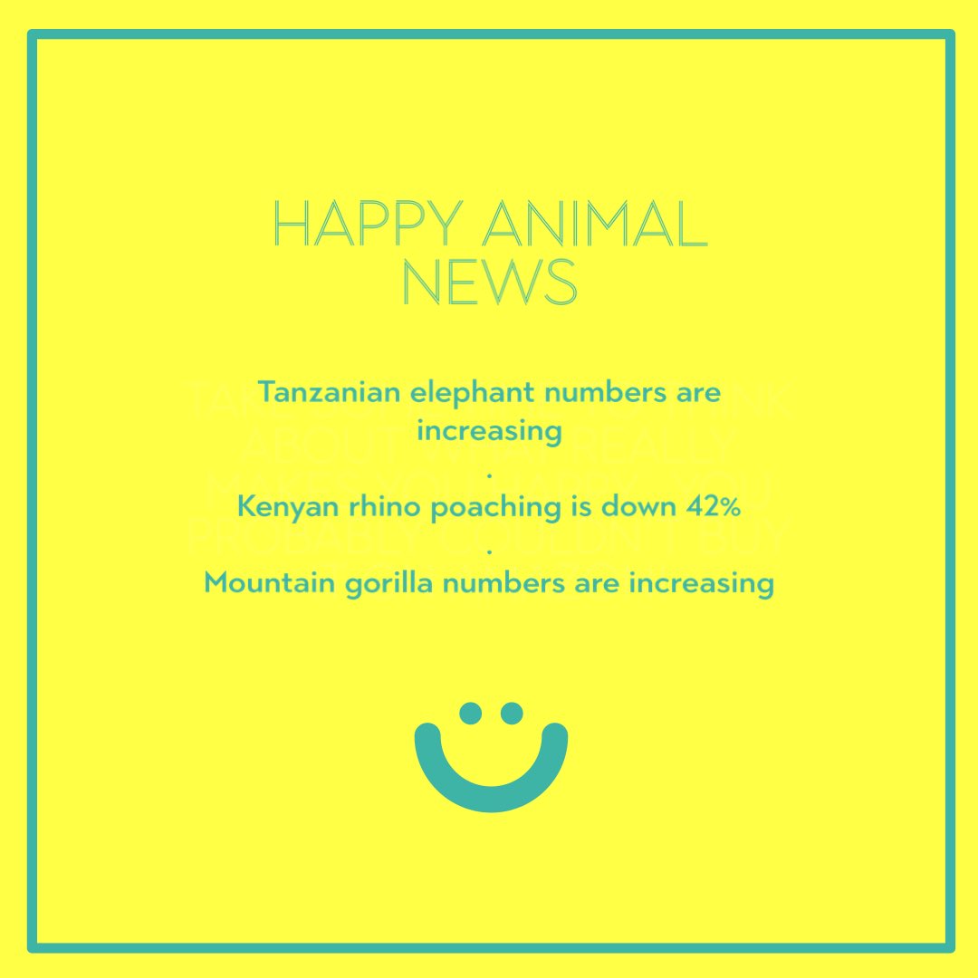 justhazaar tweet media