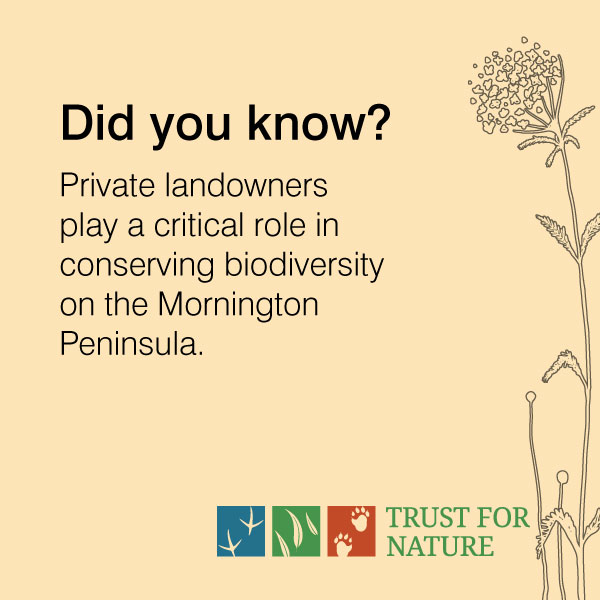 MornPenShire's tweet photo. We've introduced a new @trustfornature rate giving landholders a discount of 65% on their rates for the area of land covenanted. Trust for Nature’s conservation covenant helps landholders to permanently protect native vegetation on their properties https://t.co/FKhwyC7q5b https://t.co/mQmngUqGpA