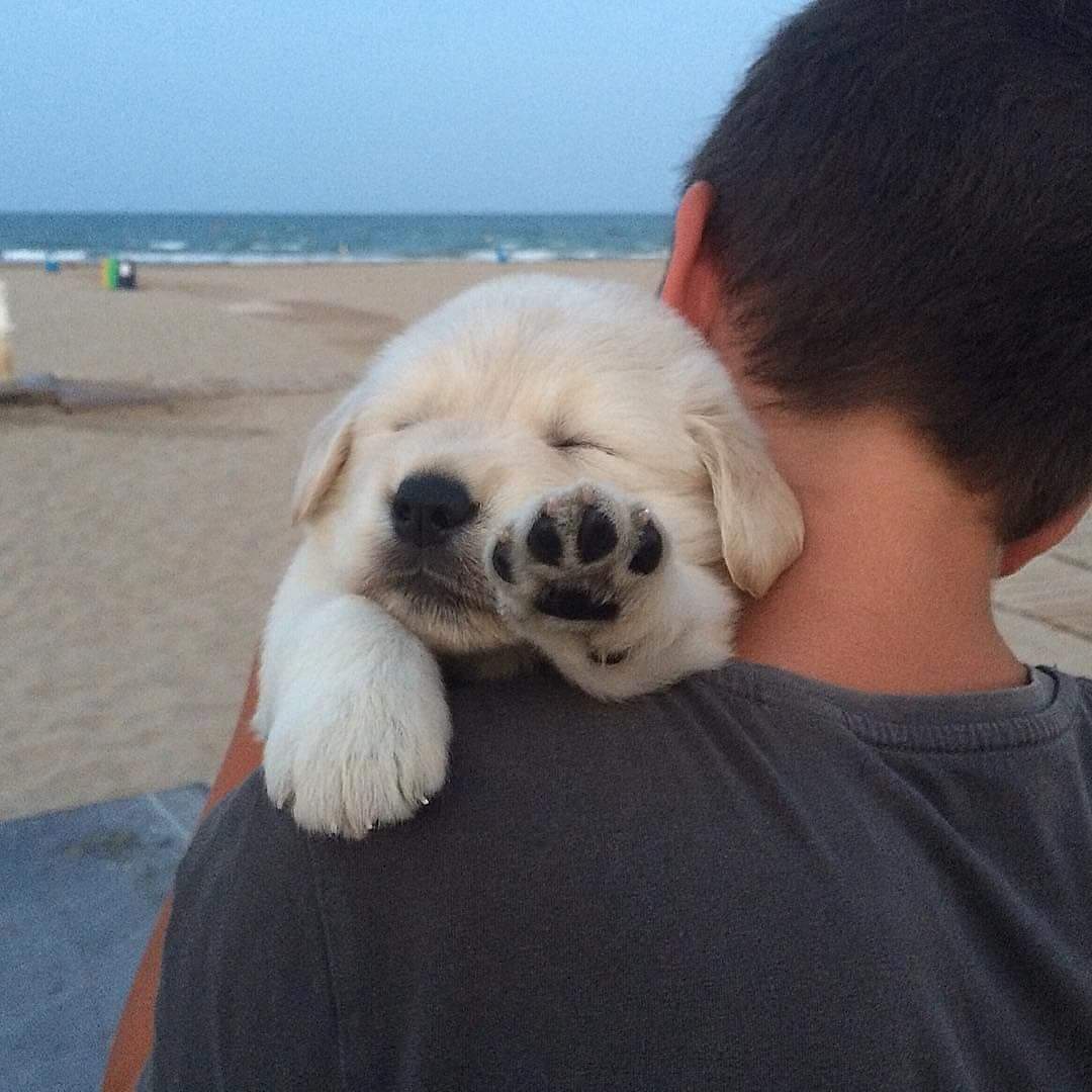 a🅱️rasame x 100pre