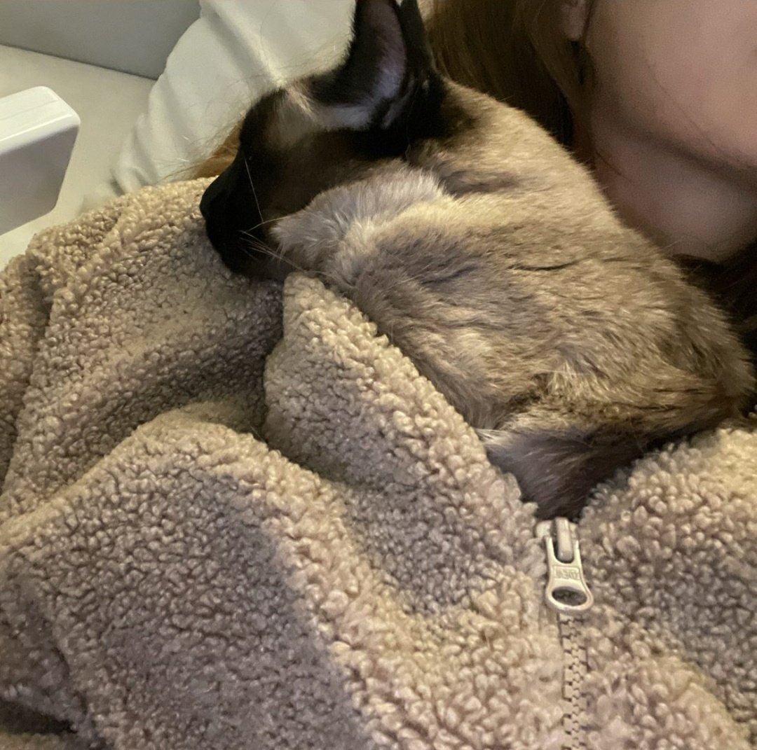 리오햐..따뜻하니....