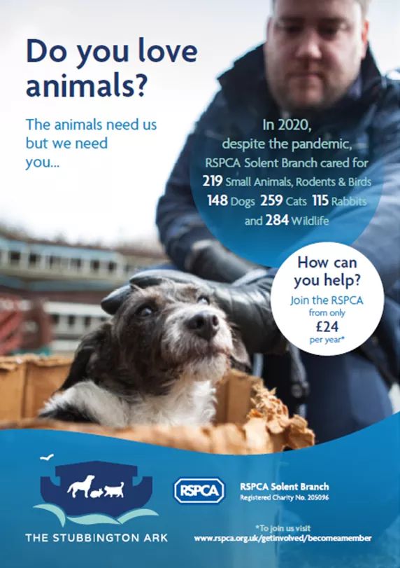 Stubbington Ark, RSPCA Solent branch tweet media