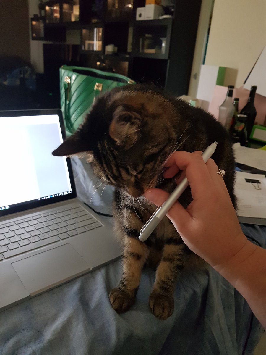 MrsKK8's tweet photo. @AliceElwell I have a similar issue, though mine lay on my computer, to do list and books.
#CatsOfTwitter
#AvoidingWork https://t.co/g4oPWPWLhd