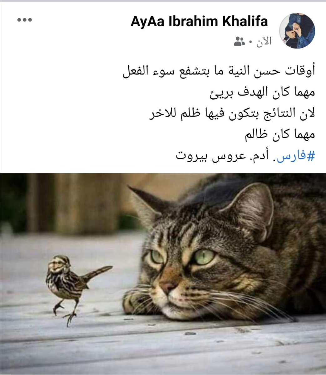 AyaMoSa30's tweet photo. #عروس_بيروت2 #mbc #carmenbsaibes #ظافر_العابدين https://t.co/kBpsQVNIkS