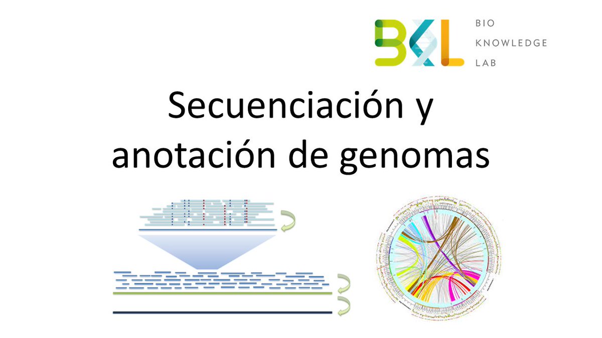BioKnowledgeLab's tweet photo. ¡Nueva entrada del blog!

Ensamblado y anotaci��n de genomas

Terminamos de hablar de la secuenciación de genomas echandole un vistazo al ensamblado, anotación y como se relacionan con las distintas plataformas de secuenciación.

Link al post: https://t.co/9Rs3KsYYTH https://t.co/KJzBxoAlrT