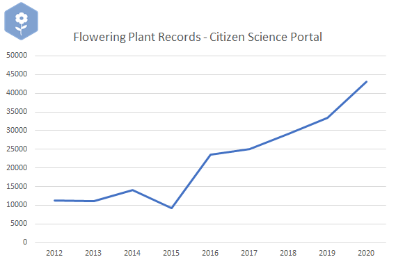 BioDataCentre's tweet photo. Flowering Plants are another group that seen an increase in recording activity during 2020 (Check the chart below for the trend from 2012-2020). 

The two most recorded species were Lesser Celandine and Primrose, both of which are included in our #SpringFlowersProject https://t.co/cEePZundGK