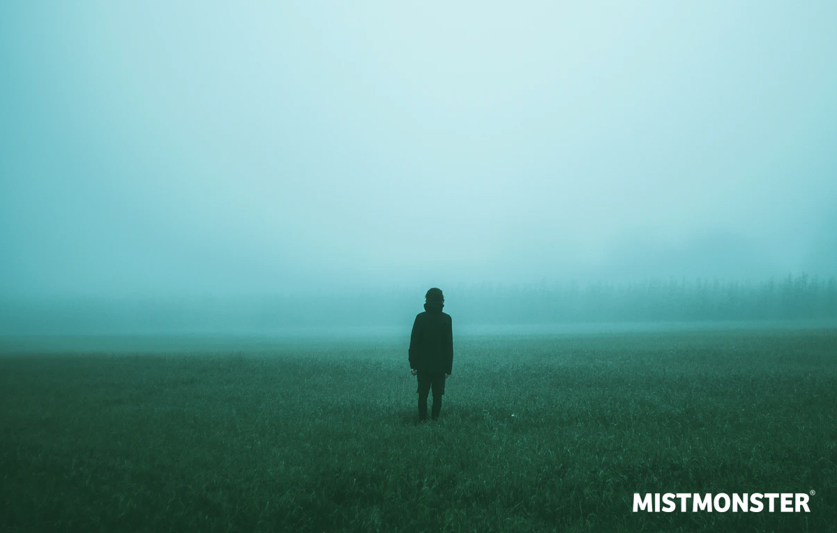 Dol op mistige dagen? Haal zelf de mist in huis met een mistgenerator. Mistmonster jaagt inbrekers direct je pand uit! Hoe het werkt? 
Lees hier meer over mistbeveiliging: mistmonster.nl/hoe-werkt-mist…

#beveiliging #inbraak