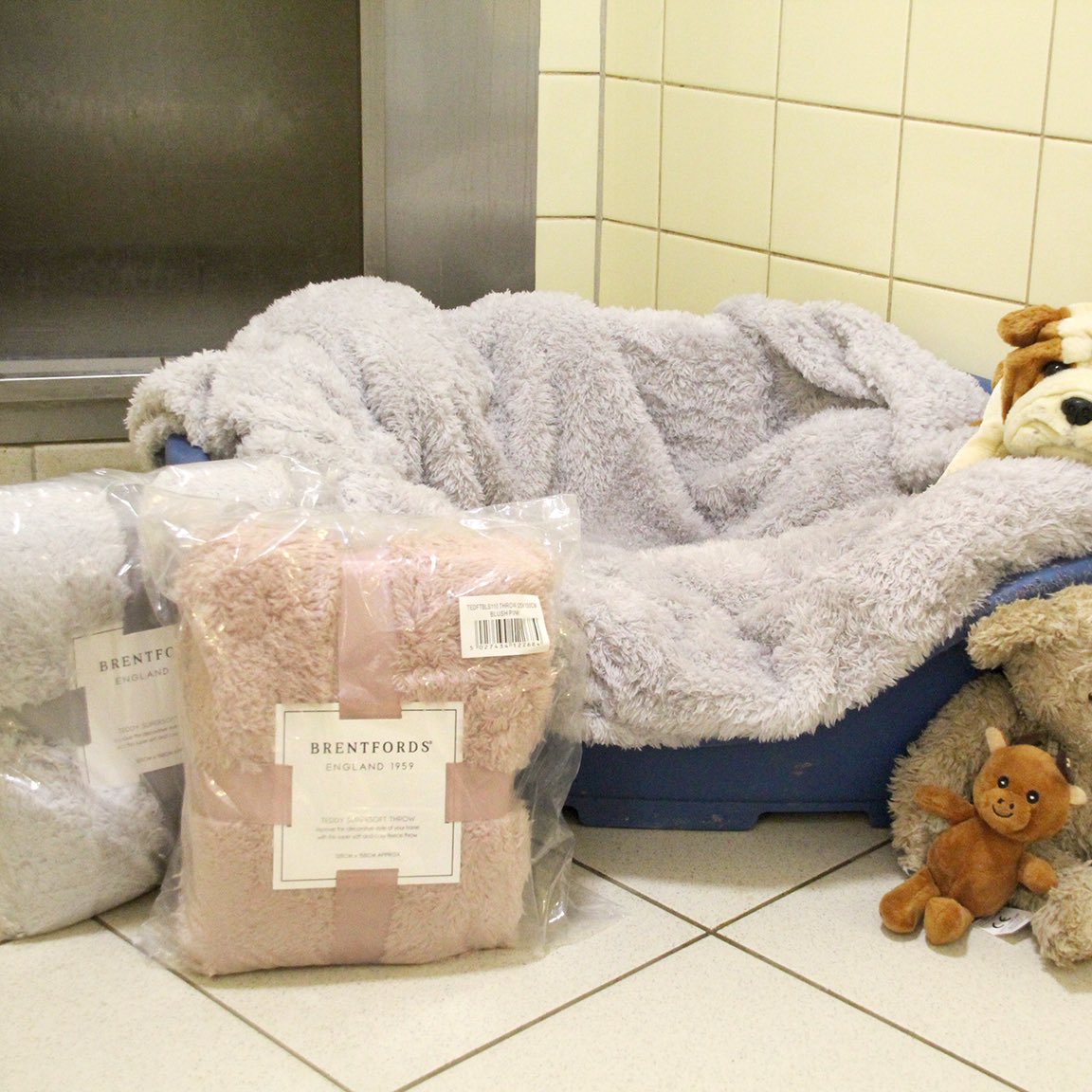 DT_Leeds's tweet photo. 🙏#THANKYOU so much for these wonderful blankets!🙏

#Lockdown means we sadly can’t accept in-person donations of bedding so these are PERFECT!

👍If you’d like to donate some bedding to our #dogs then just go here 👉 https://t.co/vxkDOjSYNu

#charity #giving @DogsTrust https://t.co/okS3FqlpQ0