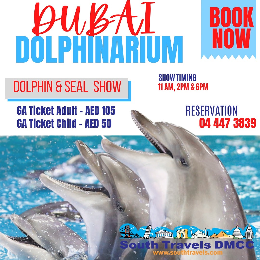 𝐓𝐇𝐄 𝐁𝐄𝐒𝐓 𝐅𝐀𝐌𝐈𝐋𝐘 𝐄𝐍𝐓𝐄𝐑𝐓𝐀𝐈𝐍𝐌𝐄𝐍𝐓 𝐈𝐍 𝐃𝐔𝐁𝐀𝐈 - Don’t miss the only Dolphin & Seal Show in the Middle East. Experience this unique indoor dolphin fun of a lifetime with your family & friends. #loveDubaiDolphinarium #southtravels