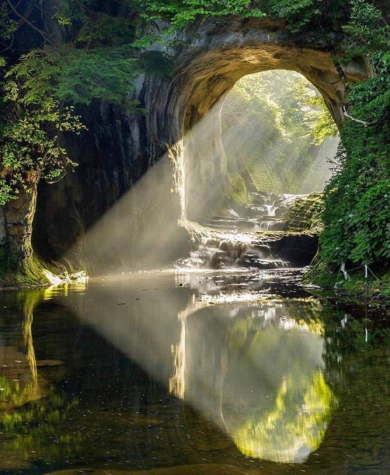 KashemwaDesire's tweet photo. Quelle que soit la durée de la nuit, le jour finit toujours par paraître..dit-on

#Espérer en l'Eternel,
#Marcher avec l'Eternel,
#Demeurer dans la présence de l'Eternel. https://t.co/lzqzakXYt8