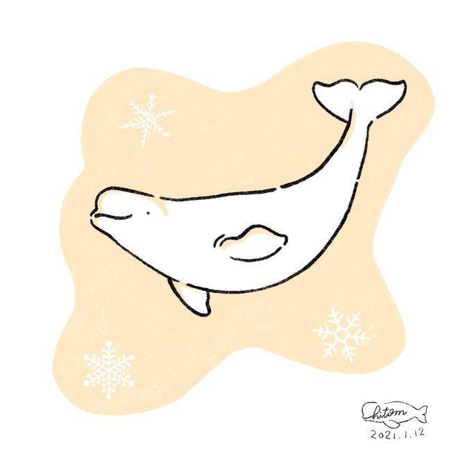 ベルーガともいいますのtwitterイラスト検索結果 ベルーガともいいますのtwitterイラスト検索結果
