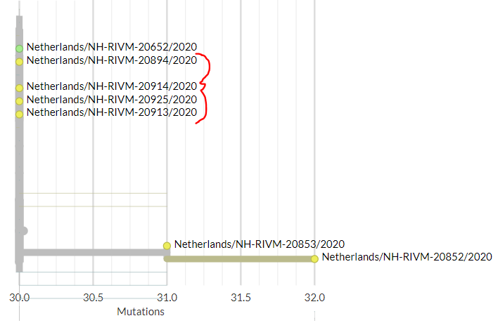 The Netherlands have 6 new sequences. All fall within the section of the tree marked in red.Zooming in, the new sequences are marked in red: 2 are separate introductions. Zooming in further (divergence view), cluster at the top are identical to an older sequence.8/20