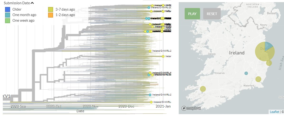 Ireland has 36 new sequences. Many represent separate introductions, but some do cluster with older sequences & may represent local transmission, or introductions from the same UK diversity.6/20