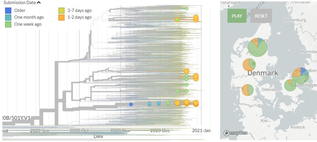 Denmark has 29 new sequences (orange). These represent both new introductions, and further expansion of the large cluster (zoomed view).7/20