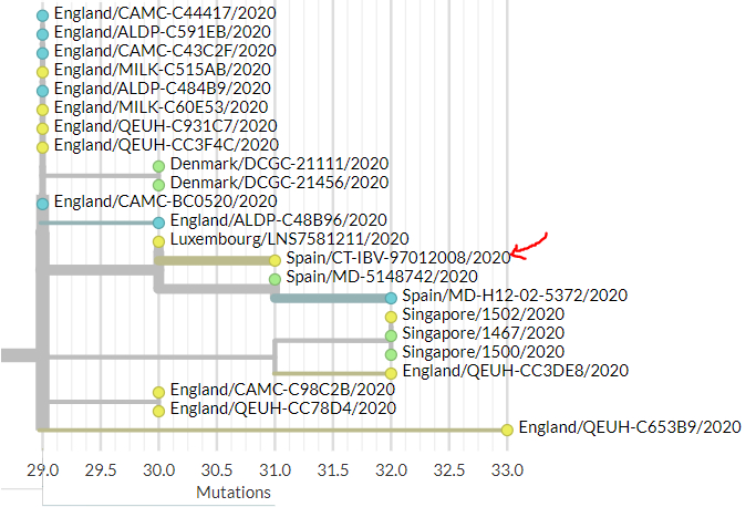 Spain has 2 new sequences (yellow). One represents a separate introduction. The other links to older Spanish sequences, but it's unclear from sequences alone if this is local transmission or transmissions from a common source.10/20