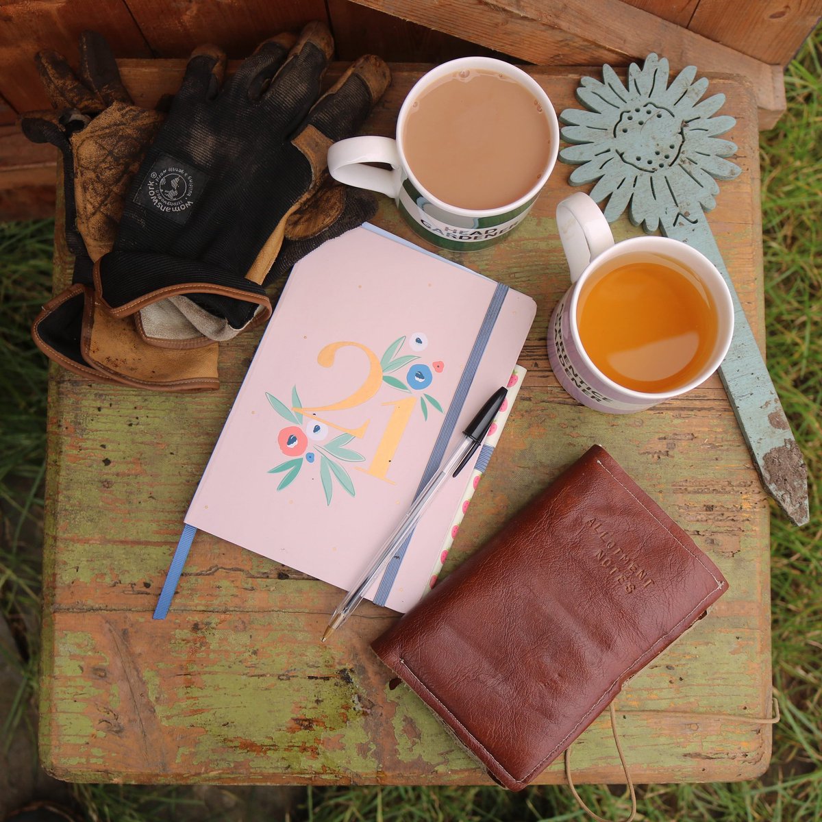 Planning; it's one of my favourite things to do and what better way to spend a dark, Winter's evening then sat inside surrounded by hopes and dreams? #allotment #allotmentplanning #gardenplan
