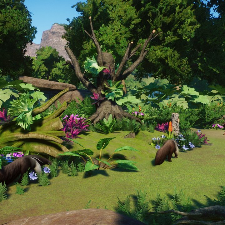 ninegems1's tweet photo. I built a giant anteater habitat in tropical rainforest theme. And make an old tree decoration in the middle using stones ornament from aquatic dlc. Speed build video in here: https://t.co/2JVQZZQgkR
#planetzoo https://t.co/4Hf9d8hSbc