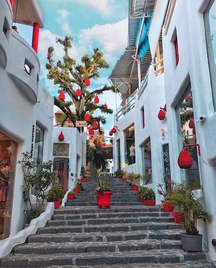 chconsduduhrosa's tweet photo. 📍Pipa, Rio Grande Do Norte❤
📸Siga: @viajando_sem_parar
✅ Dicas de viagens
👉 https://t.co/Y8XL9l3hiD
#nômadedemochila #pipa #riograndedonorte #rn #praia #beleza #viaje #ferias #férias #familia #família #adois #brasil #turismo https://t.co/DFWF0ailQo