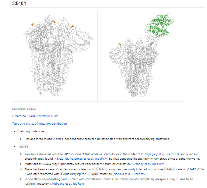 S:E484K has been discussed recently as there are suggestions it may impact how well the immune system can recognise the virus, particularly if you've been infected with SARS-CoV-2 before.Links to the studies are on  http://CoVariants.org/#se484 16/20